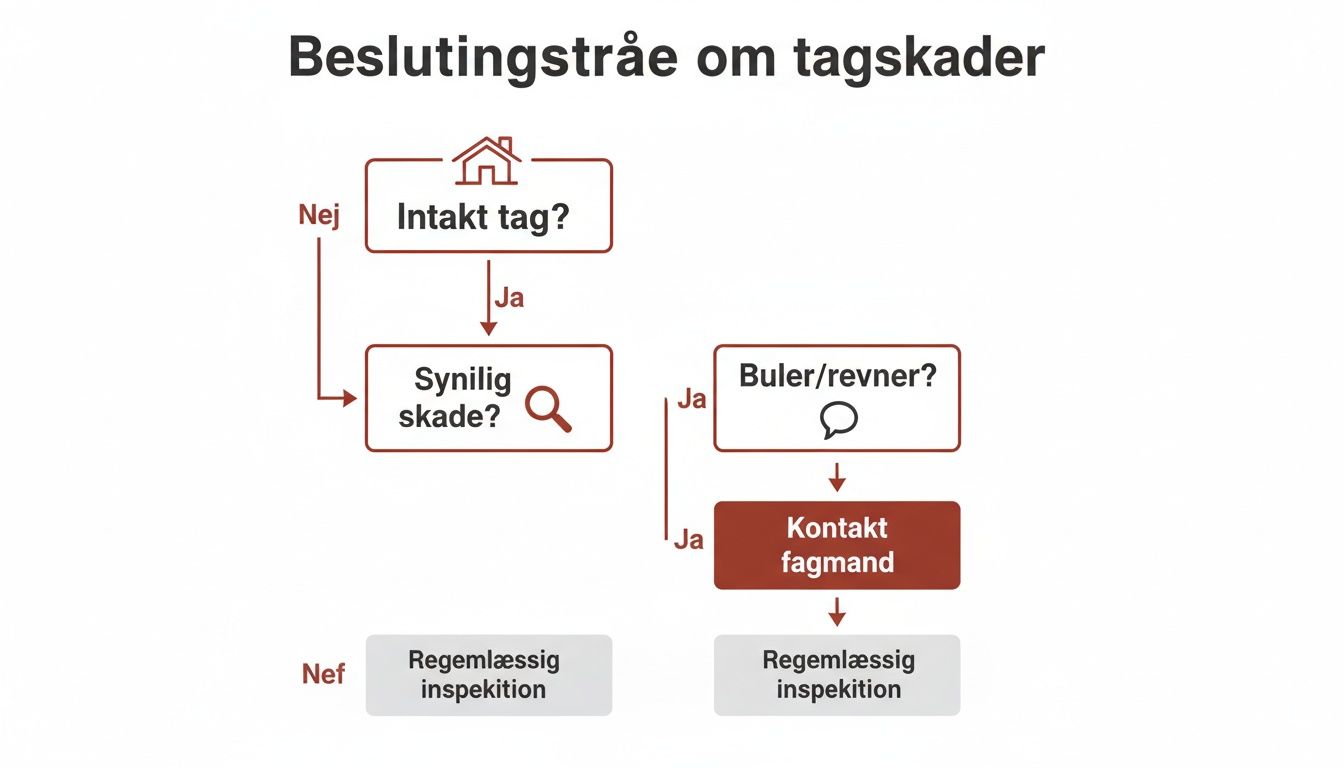 Beslutningstræ illustrerer trin for vurdering af tagskader, fra intakt tag til fagmandskontakt.